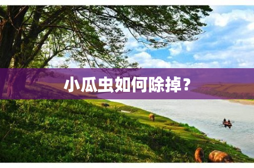 小瓜虫如何除掉？